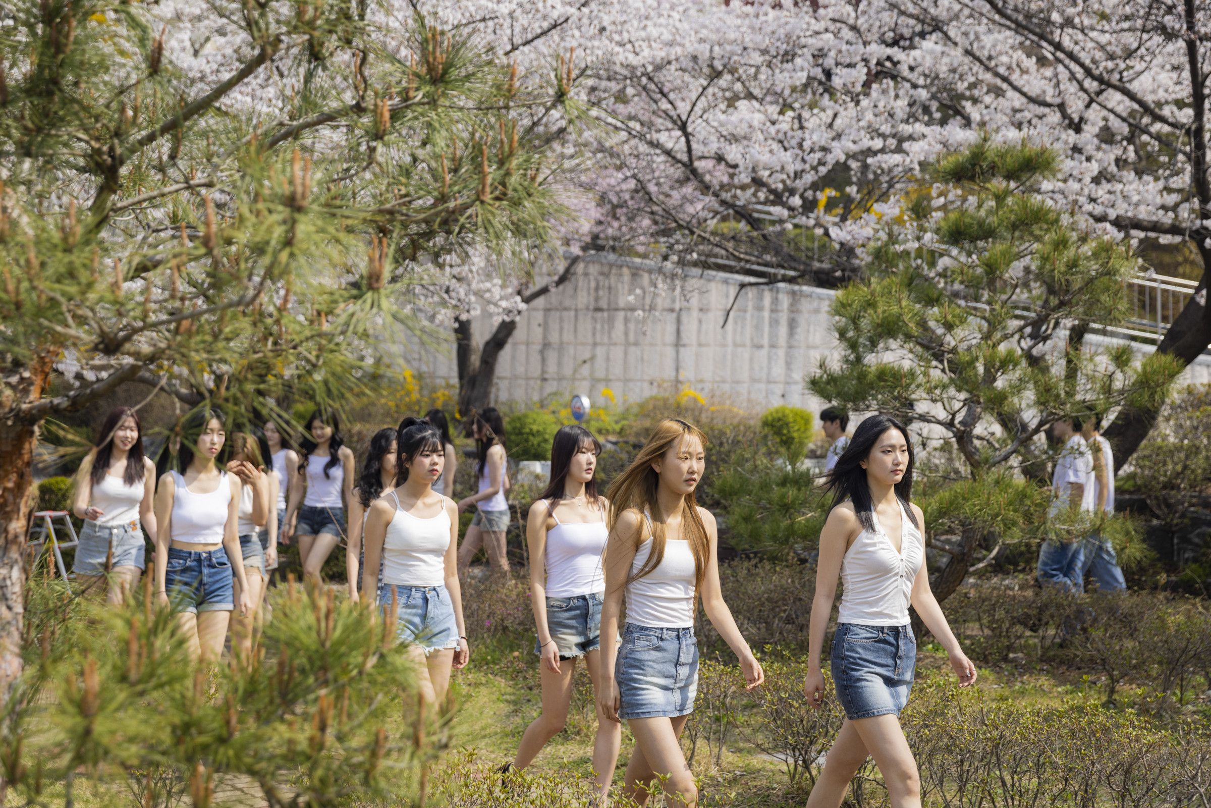 대덕대학교 K-모델과, 봄 맞이 제15회 벚꽃워킹 수업 성공적 개최 이미지 1