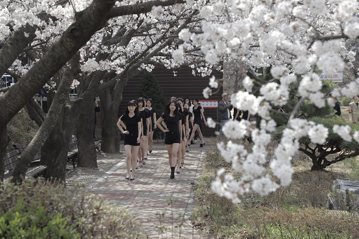 대덕대 모델과, 봄 내음 가득한 벚꽃워킹 성료! 이미지 1
